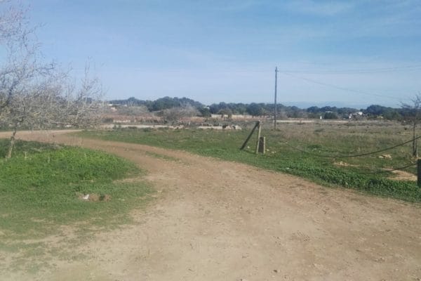 plot-for-sale-formentera-s305-06