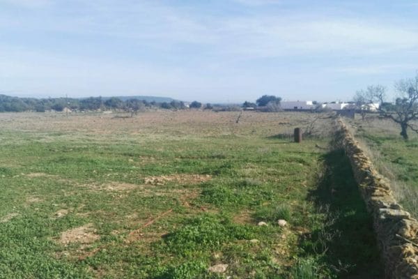 plot-for-sale-formentera-s305-08