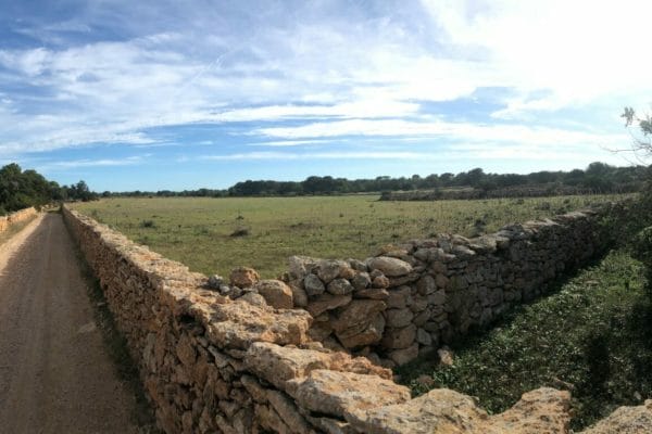 plot-for-sale-formentera-s305-10