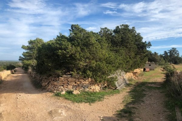 plot-for-sale-formentera-s305-13