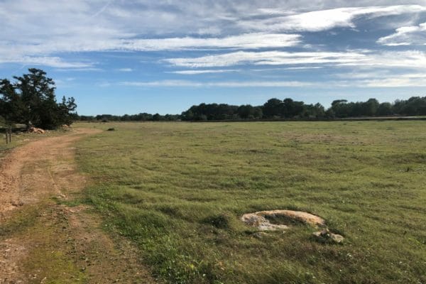 plot-for-sale-formentera-s305-14